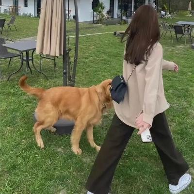 替嫁小才女